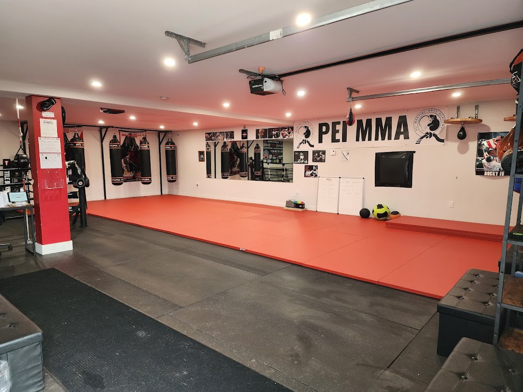 PEI Martial Arts Academy | 41 Hollis Ave, Stratford, PE C1B 2W2, Canada | Phone: (902) 213-7913