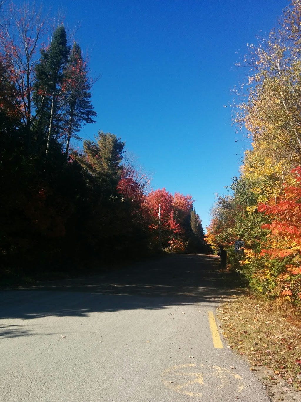 Couvreurs Smith & Lachance Inc | 4015 Chemin Plaisance, Sainte-Julienne, QC J0K 2T0, Canada | Phone: (450) 222-5875
