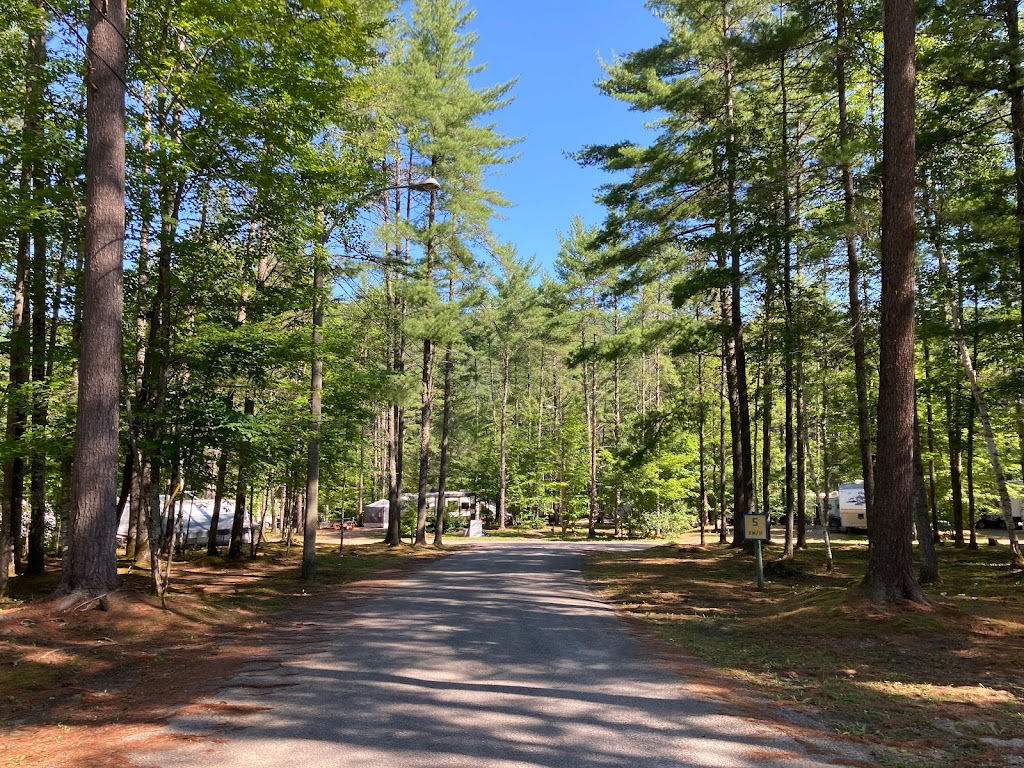 Camping McConnell | 228 McConnell Lake Road, Rapides-des-Joachims, QC J0X 3M0, Canada | Phone: (613) 281-3537