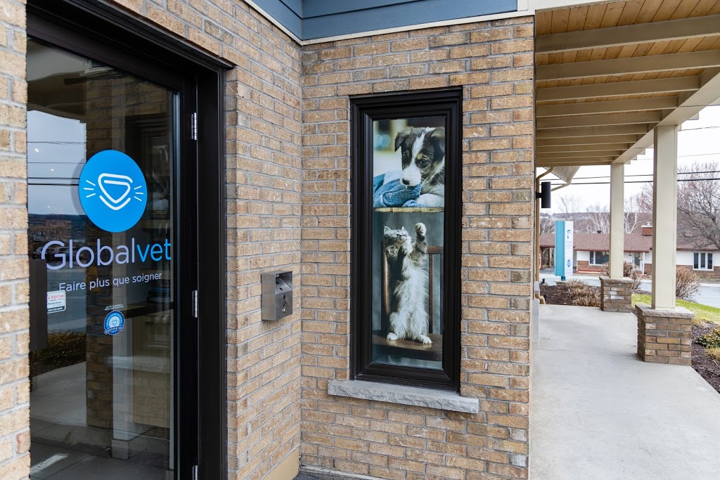 Clinique Vétérinaire Beauce-Appalaches Enr | 410 144e Rue, Saint-Georges, QC G5Y 2K4, Canada | Phone: (418) 227-3006