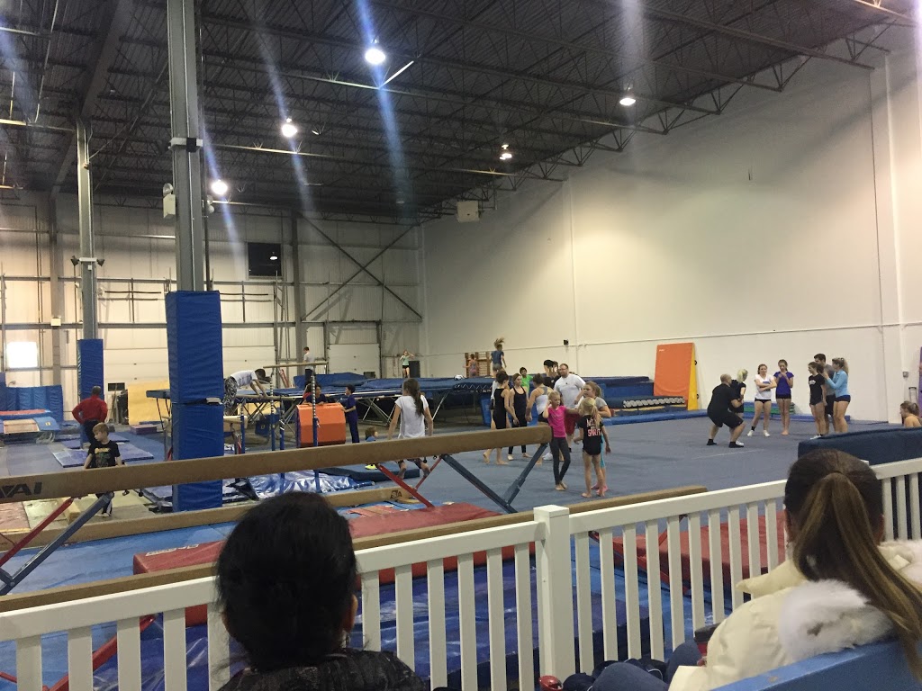 Phoenix Gymnastics Centre | 9704 12 Ave SW, Edmonton, AB T6X 0J4, Canada | Phone: (780) 438-0586