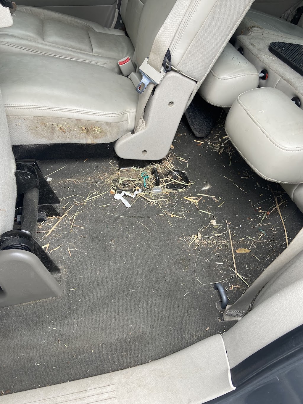 Kais Custom Cleaning | 9098 Queen St, Langley Twp, BC V1M 2R5, Canada | Phone: (604) 910-7052