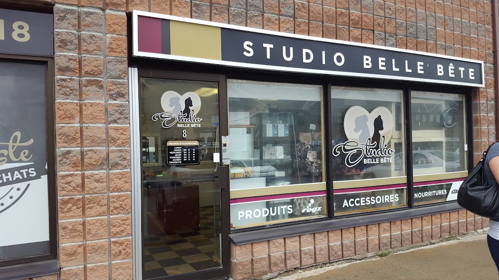 Studio Belle Bête | 178 Bd Gréber, Gatineau, QC J8T 6Z6, Canada | Phone: (819) 243-1118