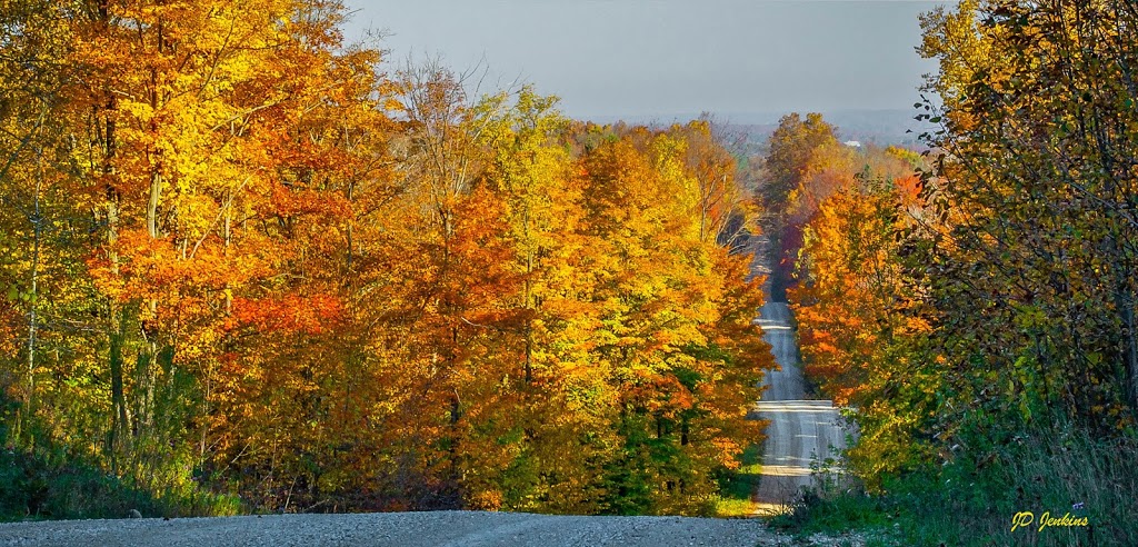 Glenelg | 473251-473499, County Rd 4, Priceville, ON N0C 1K0, Canada