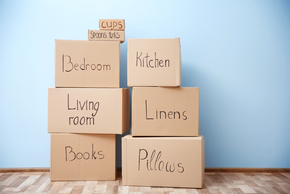 Van City Moving | 1511 E 3rd Ave, Vancouver, BC V5N 1G8, Canada | Phone: (604) 221-6683