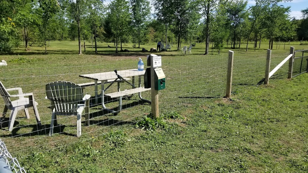 Scugog Animal Control Centre | Port Perry, ON L9L 1B2, Canada | Phone: (905) 985-9547