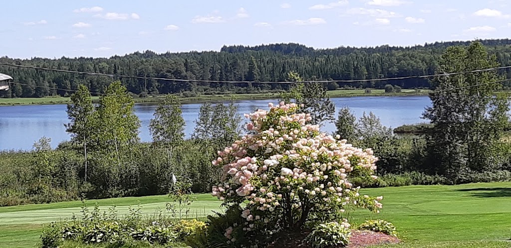 Club de Golf Saint Benjamin | 490 Rue du Lac, Saint-Benjamin, QC G0M 1N0, Canada | Phone: (418) 594-5545