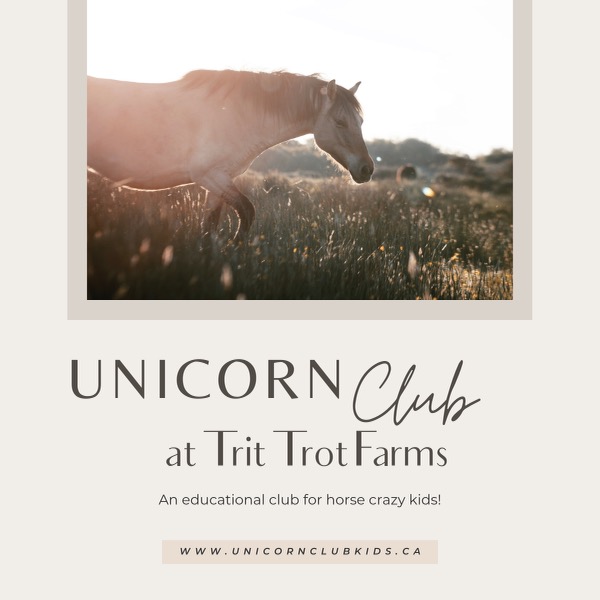 Trit-Trot Farms - Home of Unicorn Club | 4991 BC-3, Fernie, BC V0B 1M1, Canada | Phone: (250) 430-1933