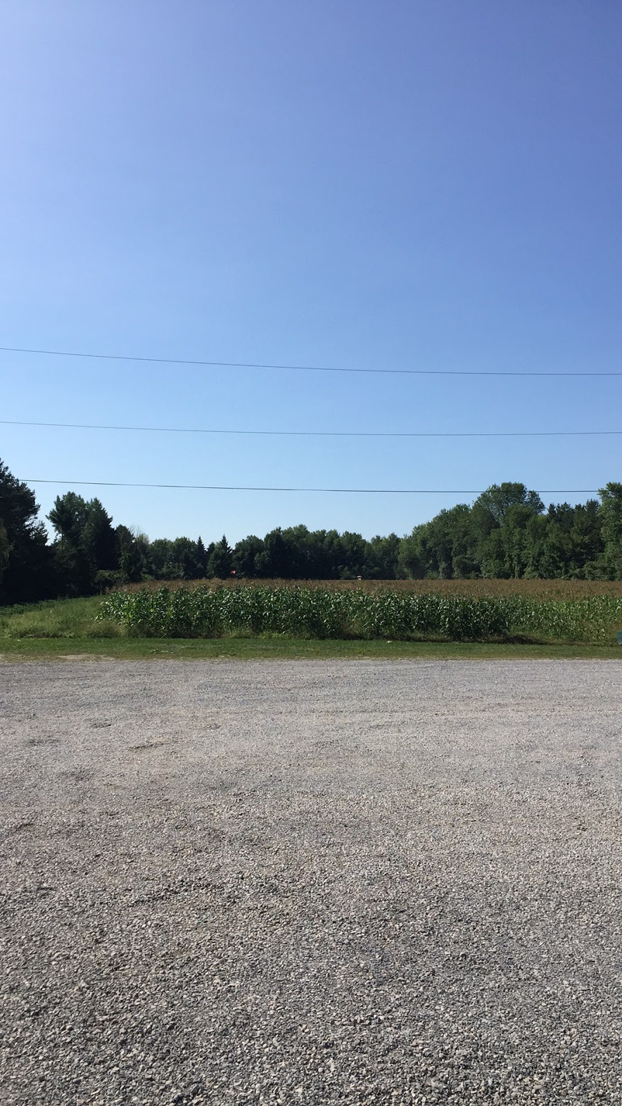 Ferme Mergl / Mergl Farm | 1431 Route de la Cité des Jeunes, Saint-Lazare, QC J7T 2B8, Canada | Phone: (450) 455-4144