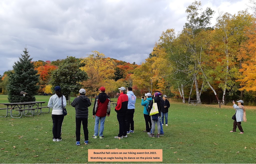 Toastmasters CIPro Club | craft, 31 Glen Watford Dr Room-2, Scarborough, ON M1S 2B7, Canada | Phone: (647) 226-1753