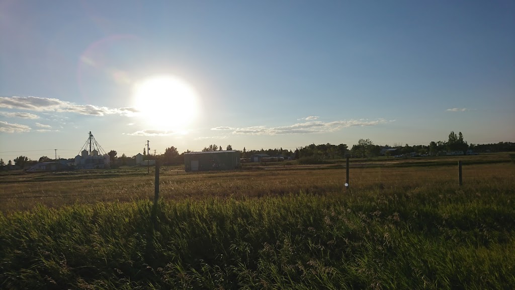 Delia Diamond Anniversary Campground | 202 1 Ave NE, Delia, AB T0J 0W0, Canada | Phone: (403) 364-3787