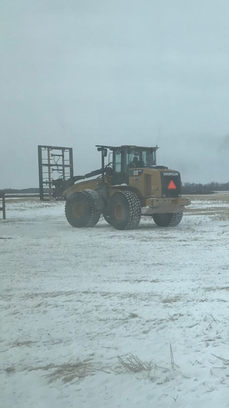 Goldenview Farms Ltd. | 23096 Rd 2 N, NW-7-1-4-W RM of Stanley Box 288 RR2, Morden, MB R6M 2A1, Canada | Phone: (204) 362-4874