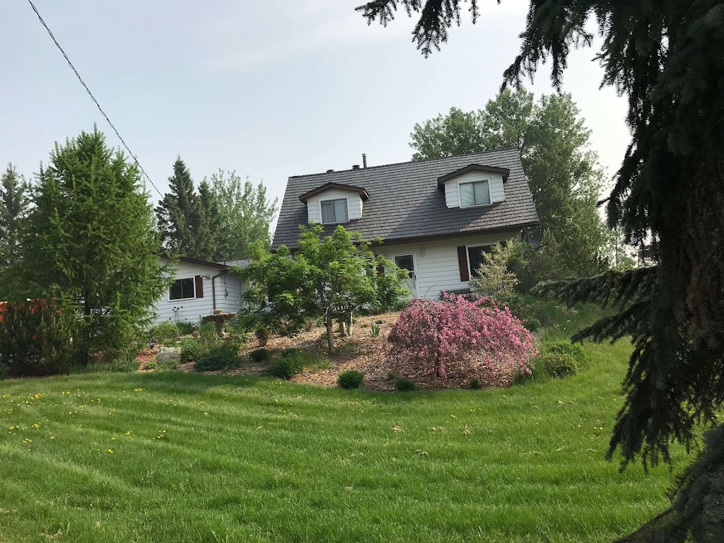 Safe Roofing | 168 Hayward Crescent NW, Edmonton, AB T6R 3G2, Canada | Phone: (780) 246-7597