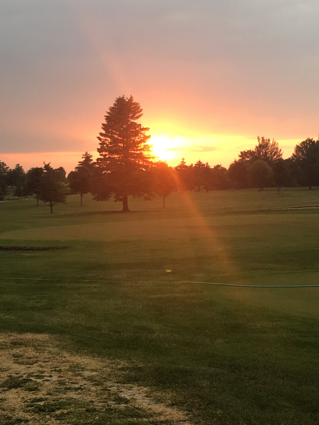 Willow Tree Golf & Country Clb | 232 W Galbraith Line Rd, Melvin, MI 48454, USA | Phone: (810) 387-4001