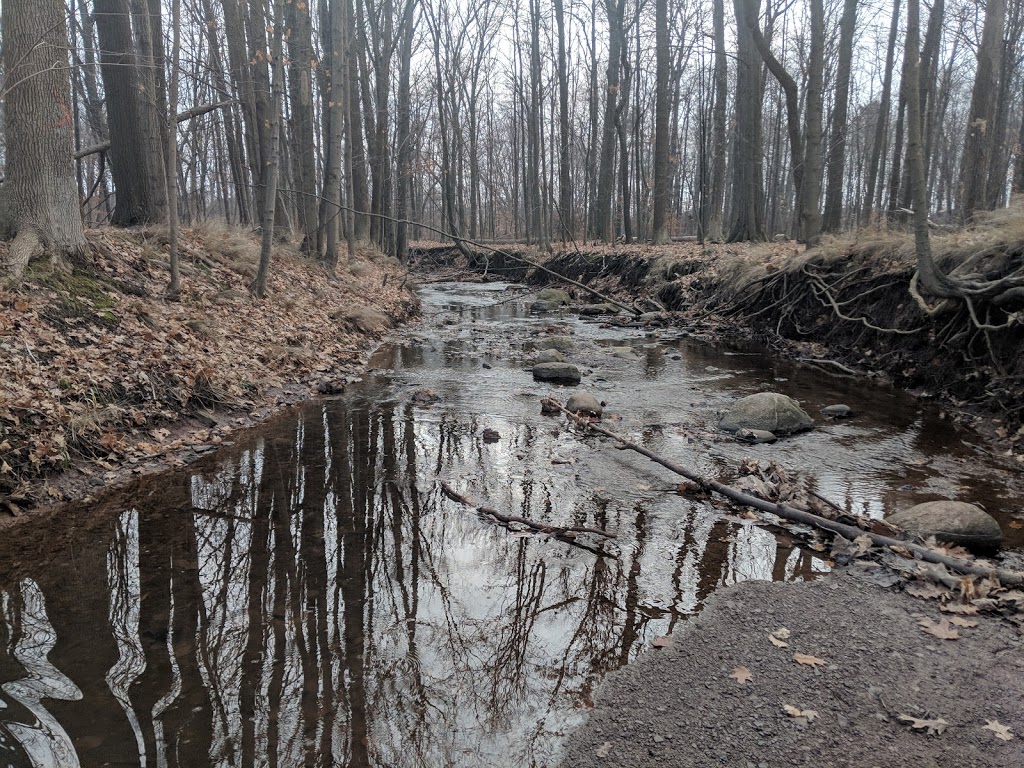Creek Path Woods | 233 Duskywing Way Unit 31, Oakville, ON L6L 0C5, Canada