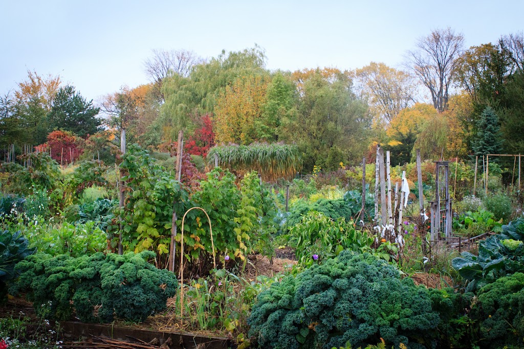 communautaire Le Tourne-Sol Garden | Rue de Montmartre, Québec, QC G1N 4S3, Canada | Phone: (418) 683-1555