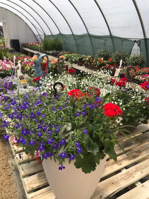 Kackenhoff Nurseries Ltd | 1317 hwy 75, Howden, MB R5A 1J9, Canada | Phone: (204) 269-1377