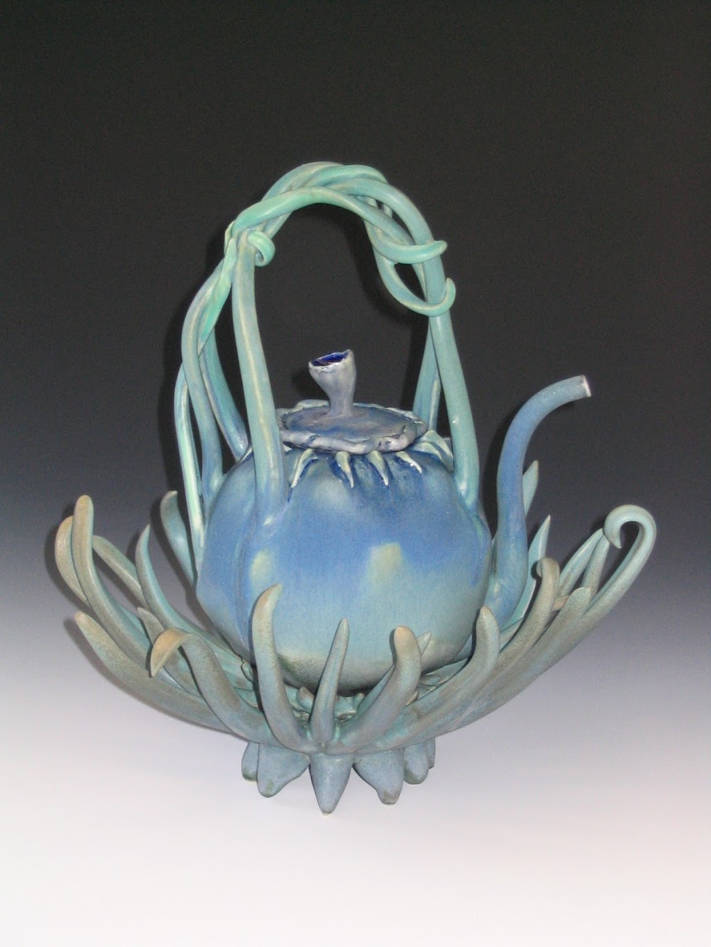 Clive Tucker Pottery | 2605 Murray St, Port Moody, BC V3H 1X1, Canada | Phone: (604) 637-7087