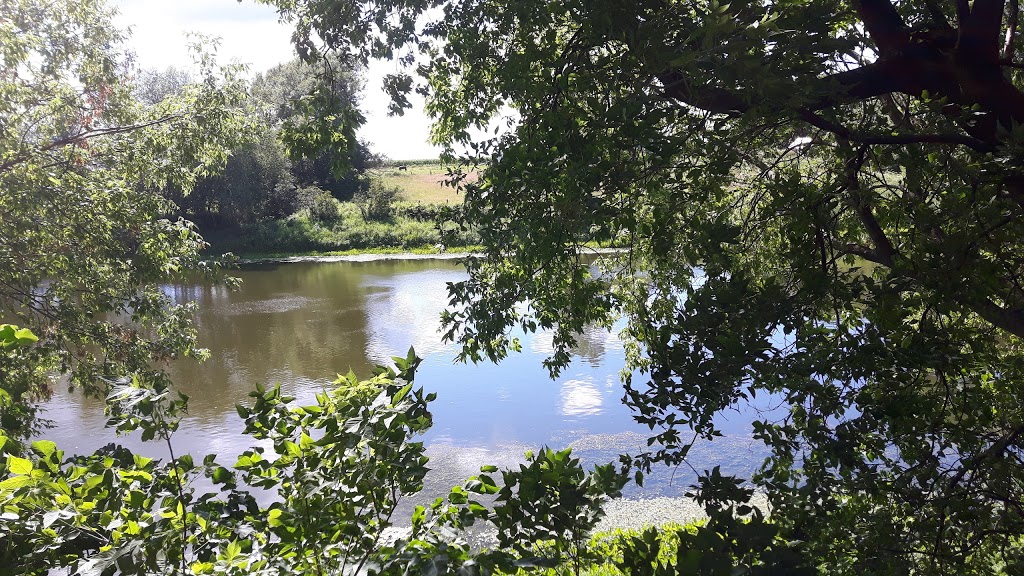 Domaine La Detente | 1436 Chemin du Camping de la Détente, Saint-Valérien-de-Milton, QC J0H 2B0, Canada | Phone: (450) 549-2243