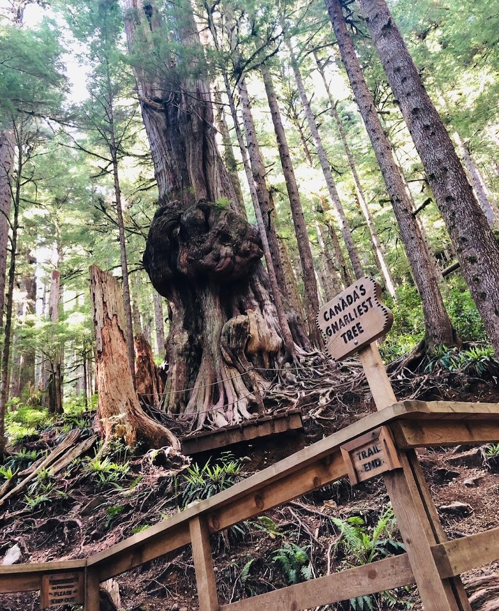 Port Renfrew Visitor Information Centre | 16947 Parkinson Rd B Building, Port Renfrew, BC V0S 1K0, Canada | Phone: (778) 402-2884