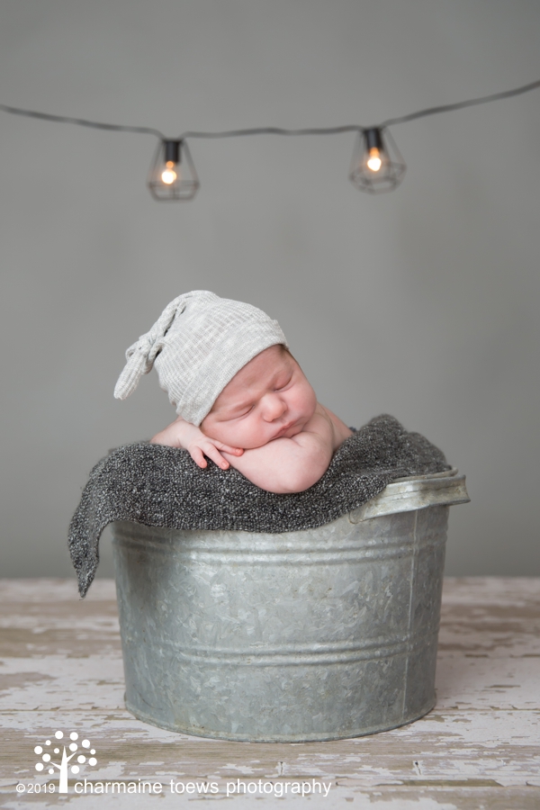 Charmaine Toews Photography | 28 Sterling Dr, Mitchell, MB R5G 2M7, Canada | Phone: (204) 326-9699