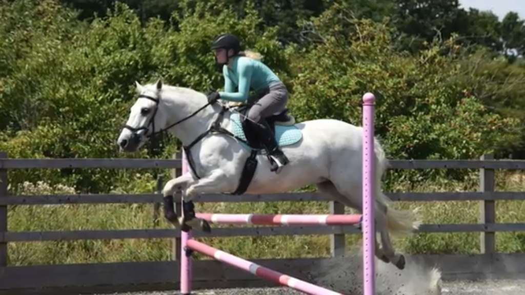 Foxstone Stable | 4770 Waters Rd, Duncan, BC V9L 6S9, Canada | Phone: (250) 748-8577