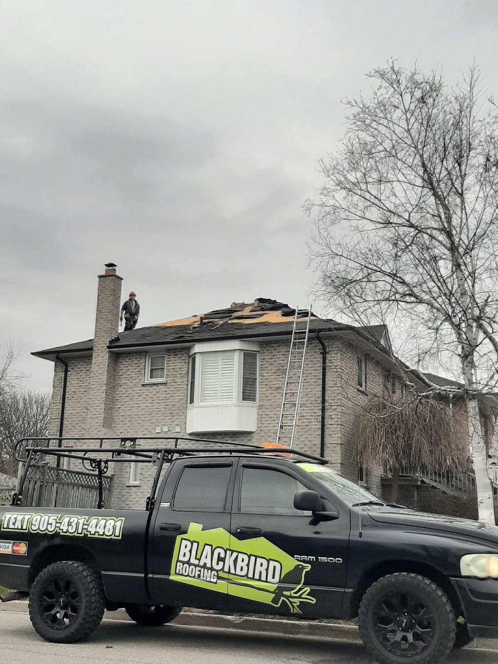 Blackbird Roofing | roofing contractor | 485 Tennyson Ct, Oshawa, ON L1K 3K8, Canada | 9054314481 OR +1 905-431-4481
