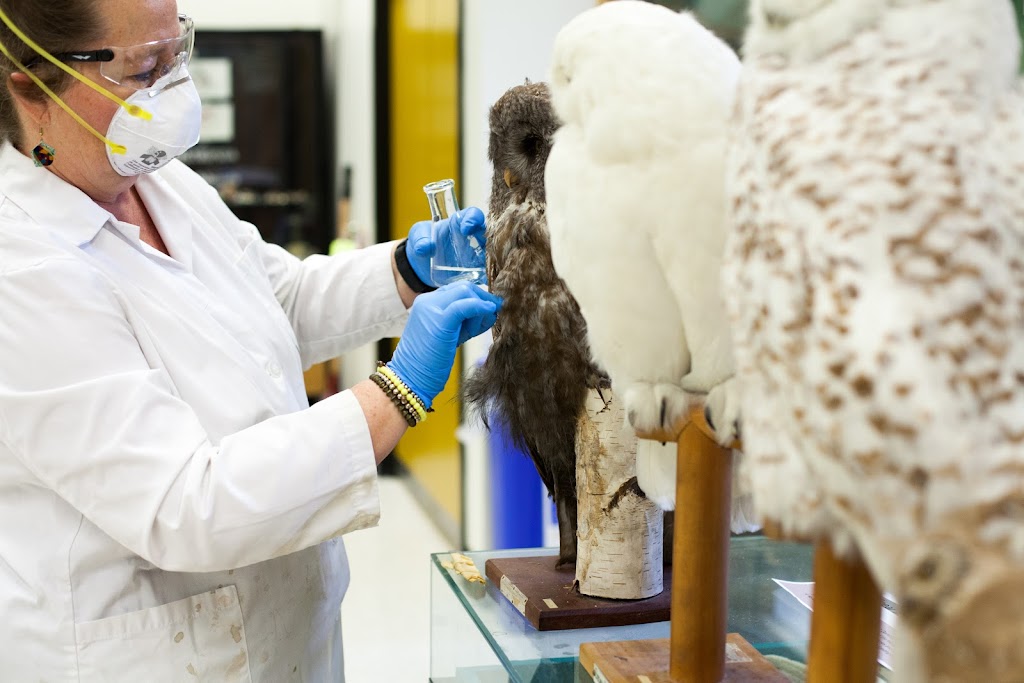 Faculty of Science, University of Manitoba | 186 Dysart Rd, Winnipeg, MB R3T 2N2, Canada | Phone: (204) 474-8256