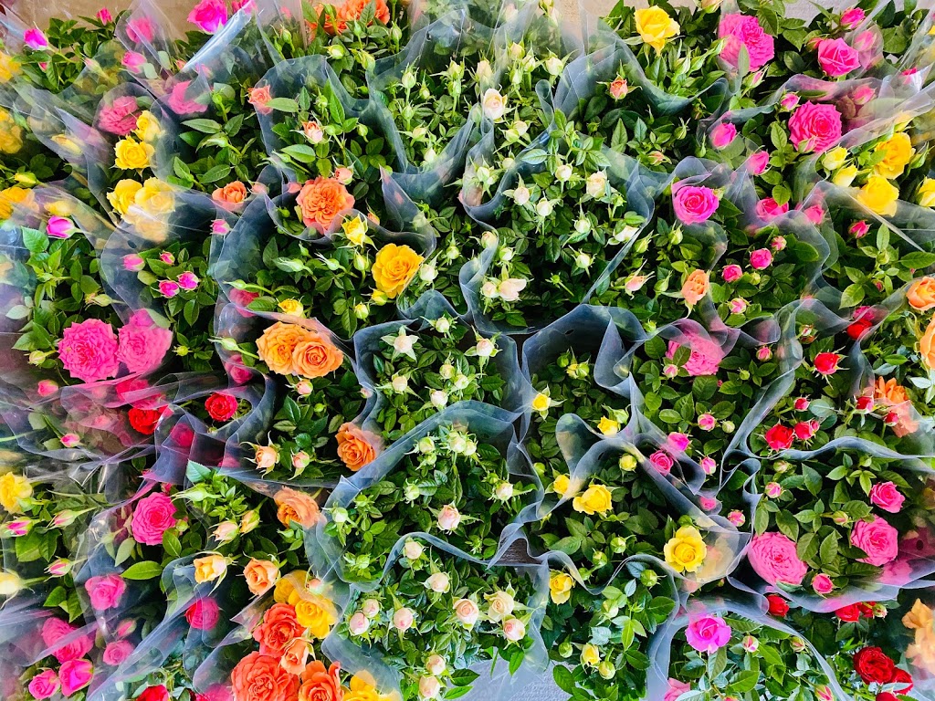 Oliver Garden & Fruit Market | 5555 BC-97, Oliver, BC V0H 1T0, Canada | Phone: (250) 498-3334