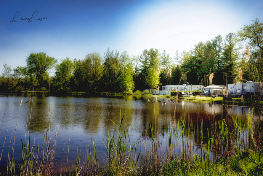 Camping Canne de Bois | 306 QC-219, Hemmingford, QC J0L 1H0, Canada | Phone: (450) 247-2031