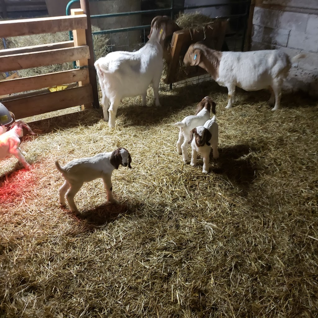 Grassy Ridge Farms | 7092 S Chippawa Rd, Wellandport, ON L0R 2J0, Canada | Phone: (905) 746-9635