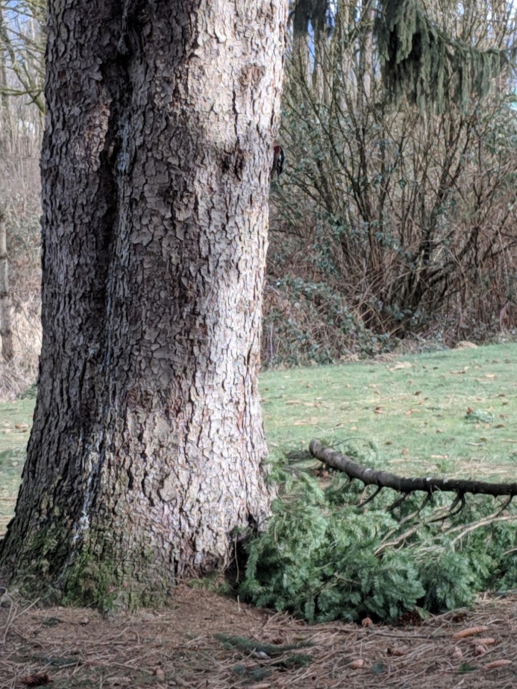 Barber Park | Barber Dr, Chilliwack, BC V2P, Canada