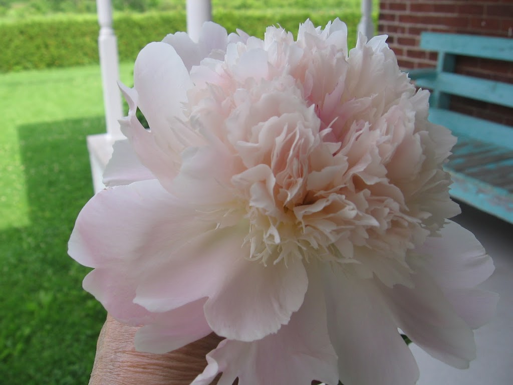 Jardins Amazone inc. | 607 Rang 3, Sainte-Clotilde-de-Châteauguay, QC J0L 1W0, Canada | Phone: (450) 826-4269