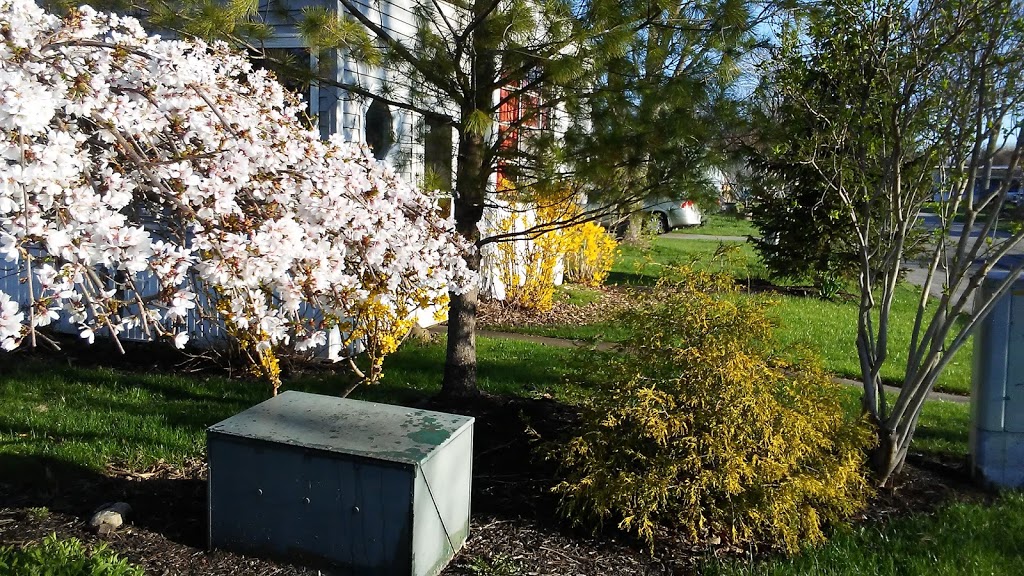 The Village Manufactured Home Community | 6035 S Transit Rd, Lockport, NY 14094, USA | Phone: (716) 434-6241
