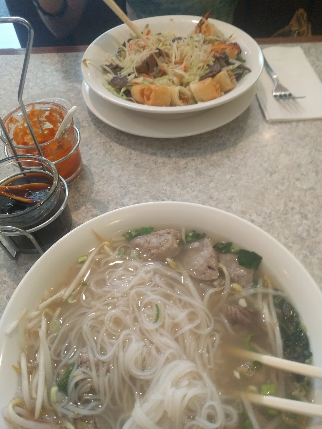 Saigon Delights | 5802 50 St, Beaumont, AB T4X 1T8, Canada | Phone: (780) 929-6828