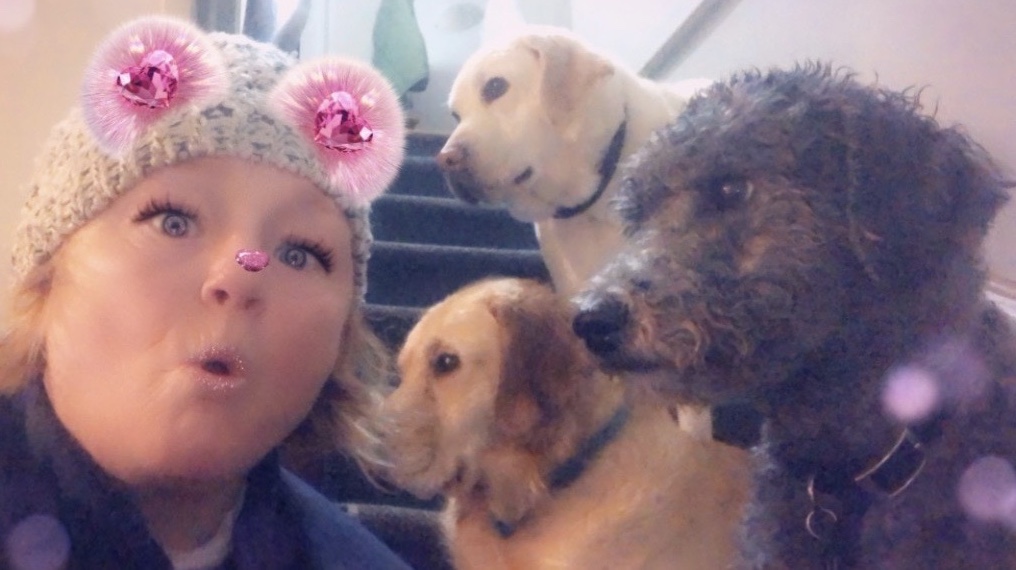Doc Pawsitive Professional Pet Care Services | 264 ON-5, Dundas, ON L9H 5E2, Canada | Phone: (905) 630-2029