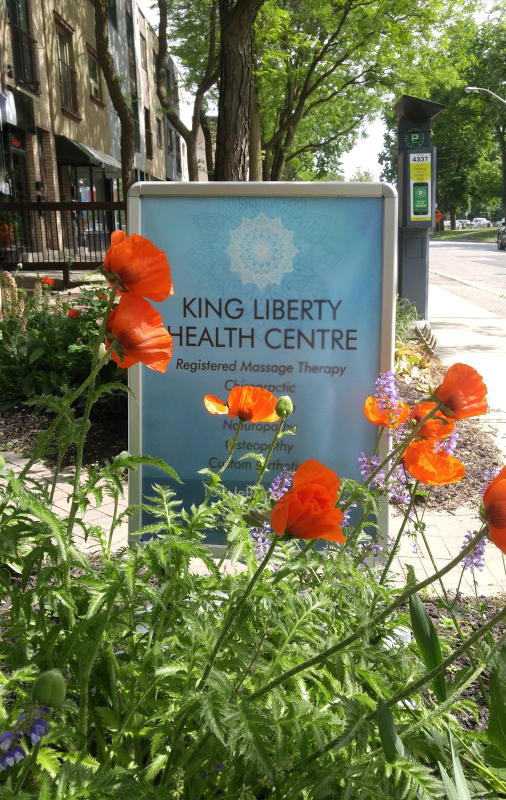 King Liberty Health Centre | 131 Jefferson Ave, Toronto, ON M6K 3E4, Canada | Phone: (647) 350-2932