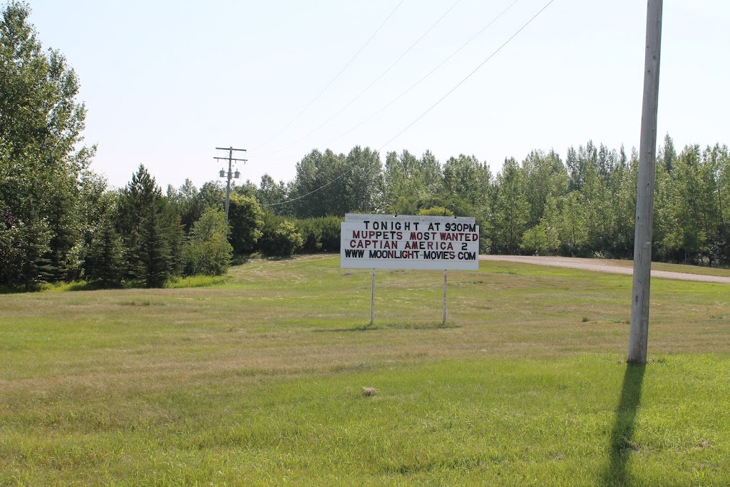 The Drive In at Manitou Beach | SK-365, Manitou Beach, SK S0K 4T1, Canada | Phone: (306) 946-2831
