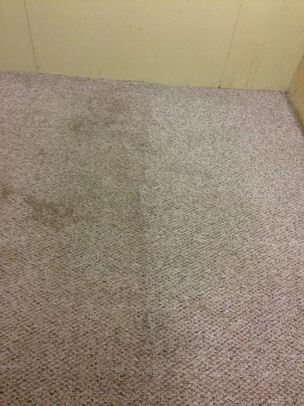 Kootenay Carpet Cleaning (+ Upholstery & Vehicle) | 2304 7th St N Unit B, Cranbrook, BC V1C 5H6, Canada | Phone: (250) 919-9200