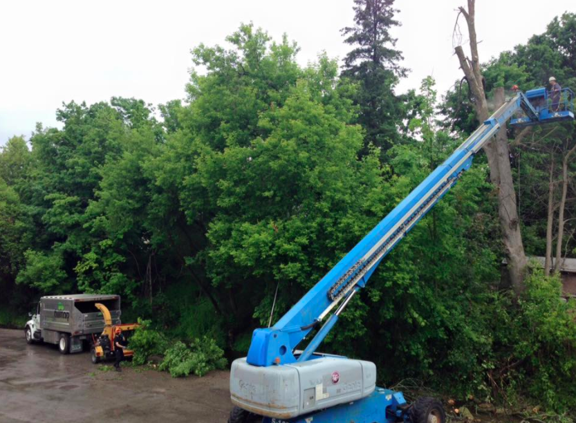 Hilltop Tree Care | 112 Guelph St, Georgetown, ON L7G 4T1, Canada | Phone: (905) 877-5279