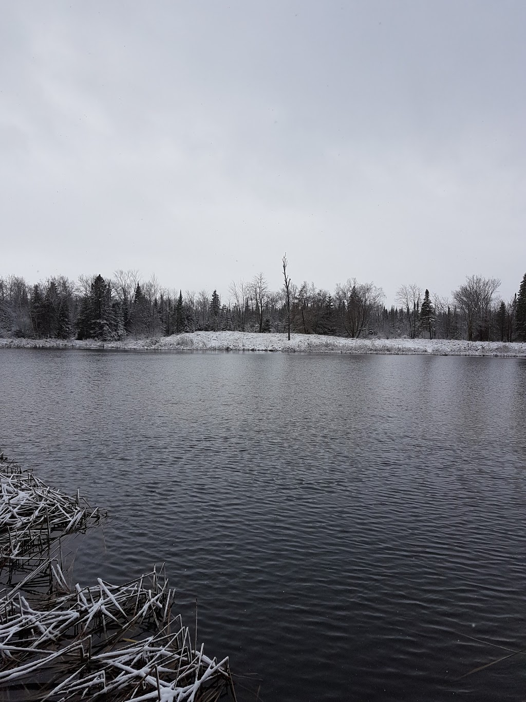 Centennial Park | 2870 7th Line, Innisfil, ON L9S 4H6, Canada | Phone: (705) 436-3710