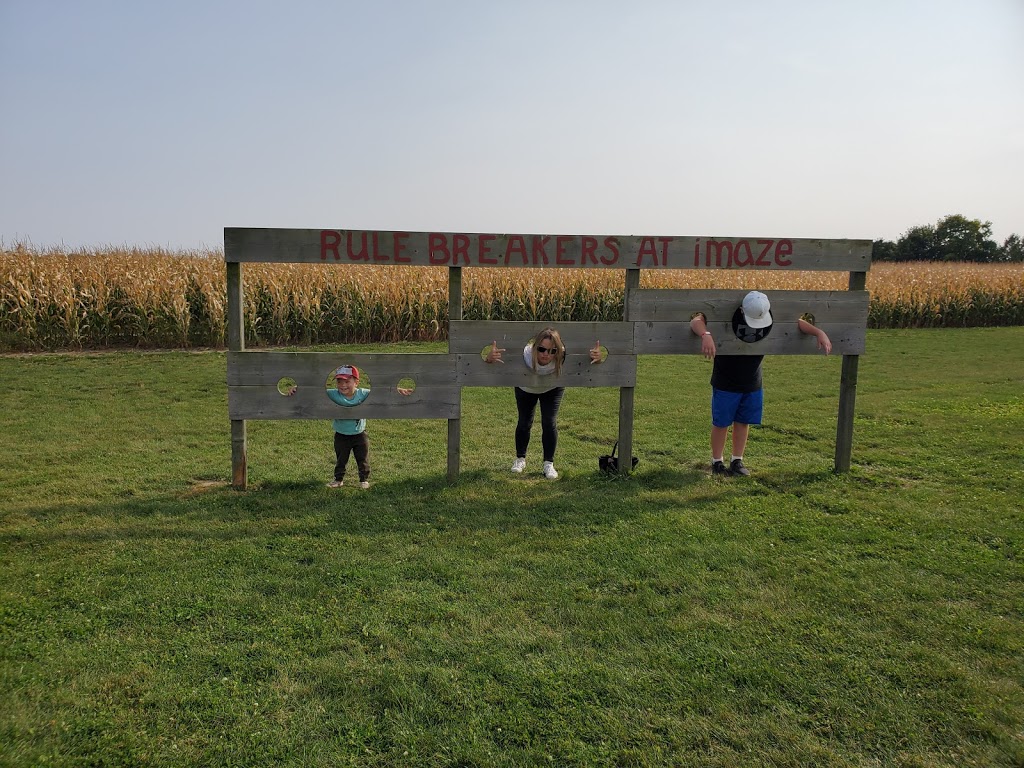 Thamesville Maize | 12768 Longwoods Rd, Thamesville, ON N0P 2K0, Canada | Phone: (519) 692-5451