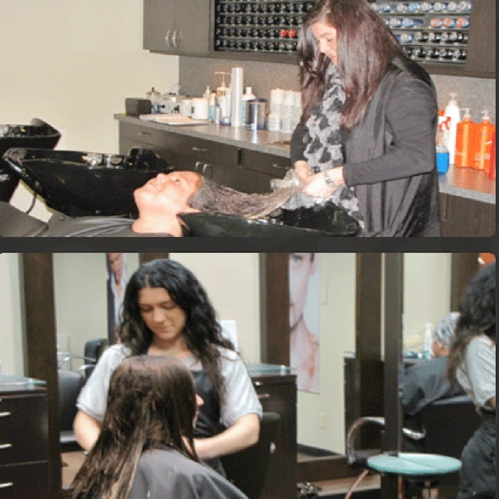 The Lions Mane Salon | 5225 Sheridan Dr, Williamsville, NY 14221, USA | Phone: (716) 626-0996