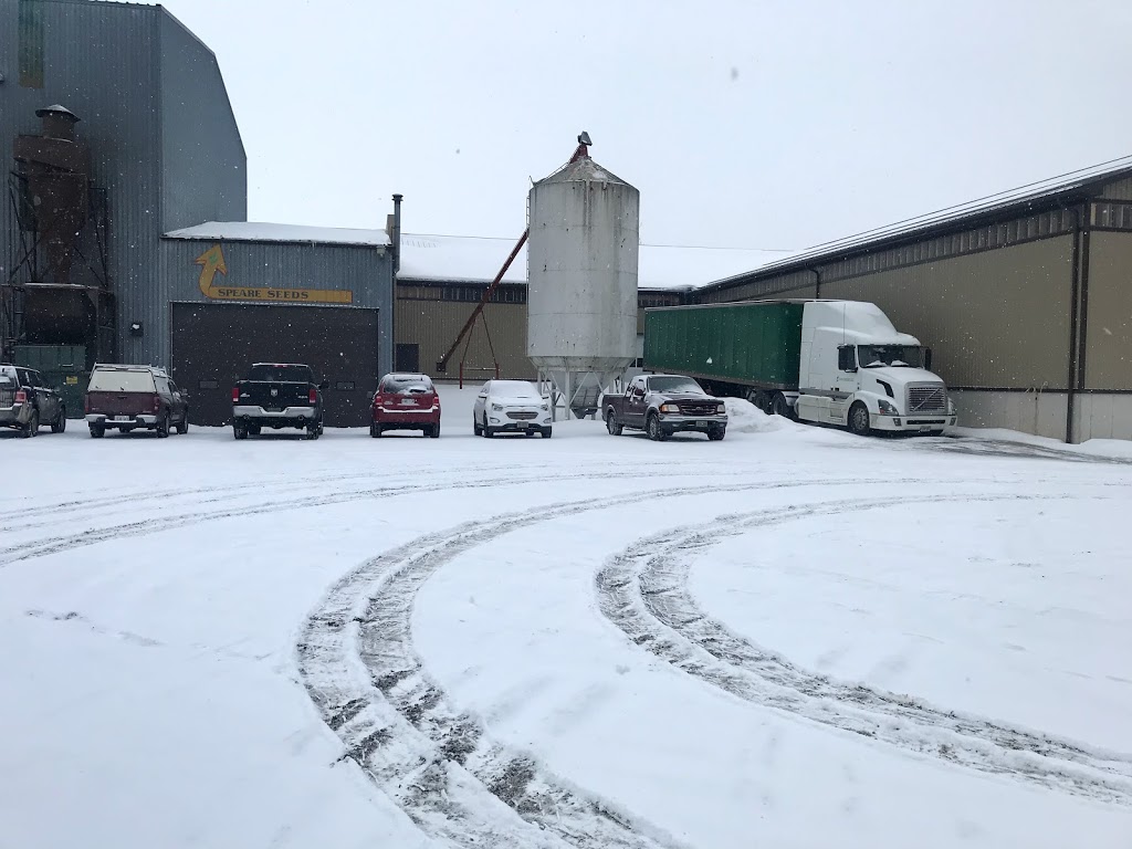 Speare Seeds | 99 John St N, Harriston, ON N0G 1Z0, Canada | Phone: (519) 338-3840