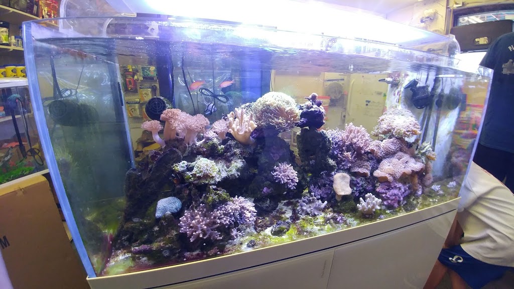 Pauls Aquarium | 7533 135 St #108, Surrey, BC V3W 0N6, Canada | Phone: (604) 572-4649