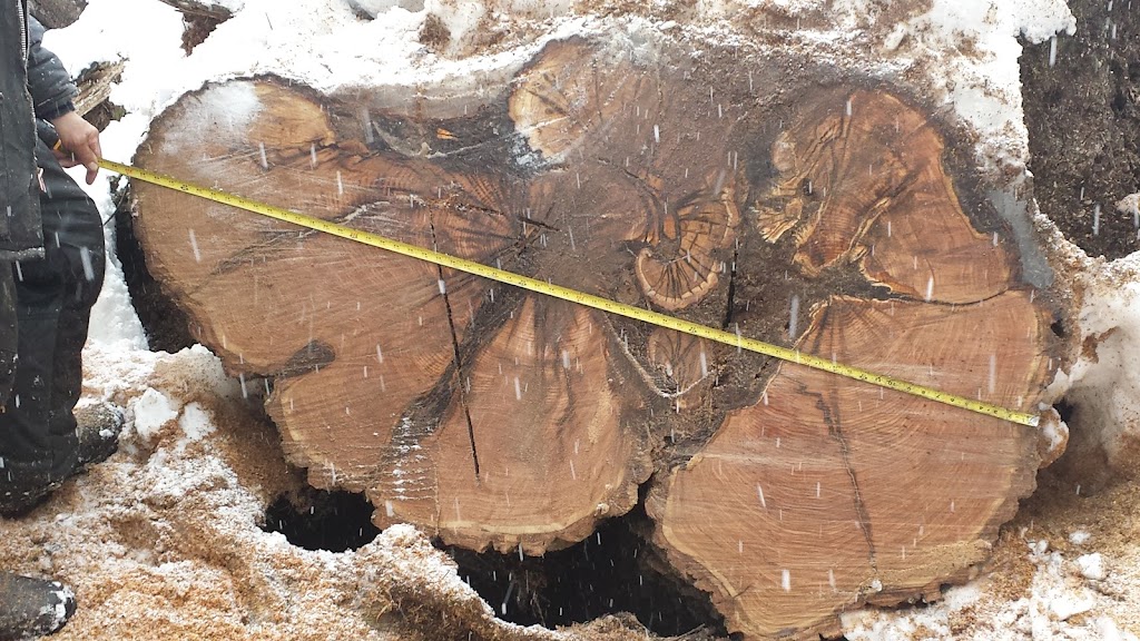 Arboriculture leforestier | 1041 Rang St Pierre, Hérouxville, QC G0X 1J0, Canada | Phone: (819) 383-4066