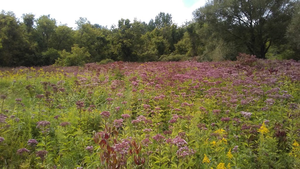 Majors Park | 441 Olean Rd, East Aurora, NY 14052, USA