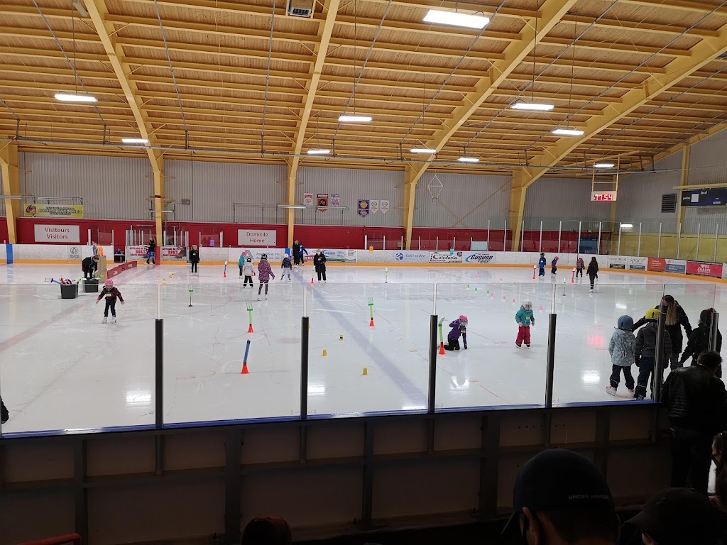 Dieppe Gold Blades Skating Club | 432 Melanson Rd, Dieppe, NB E1A 1A6, Canada | Phone: (506) 877-7994