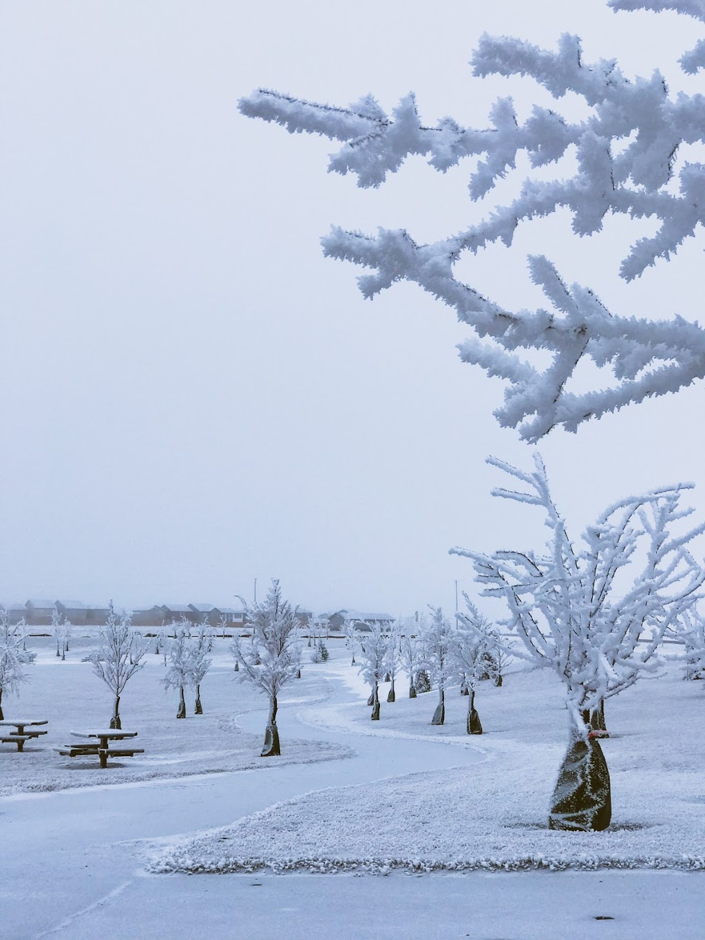 Sharp Park | 7401 Dewdney Ave, Regina, SK S0G 4G0, Canada