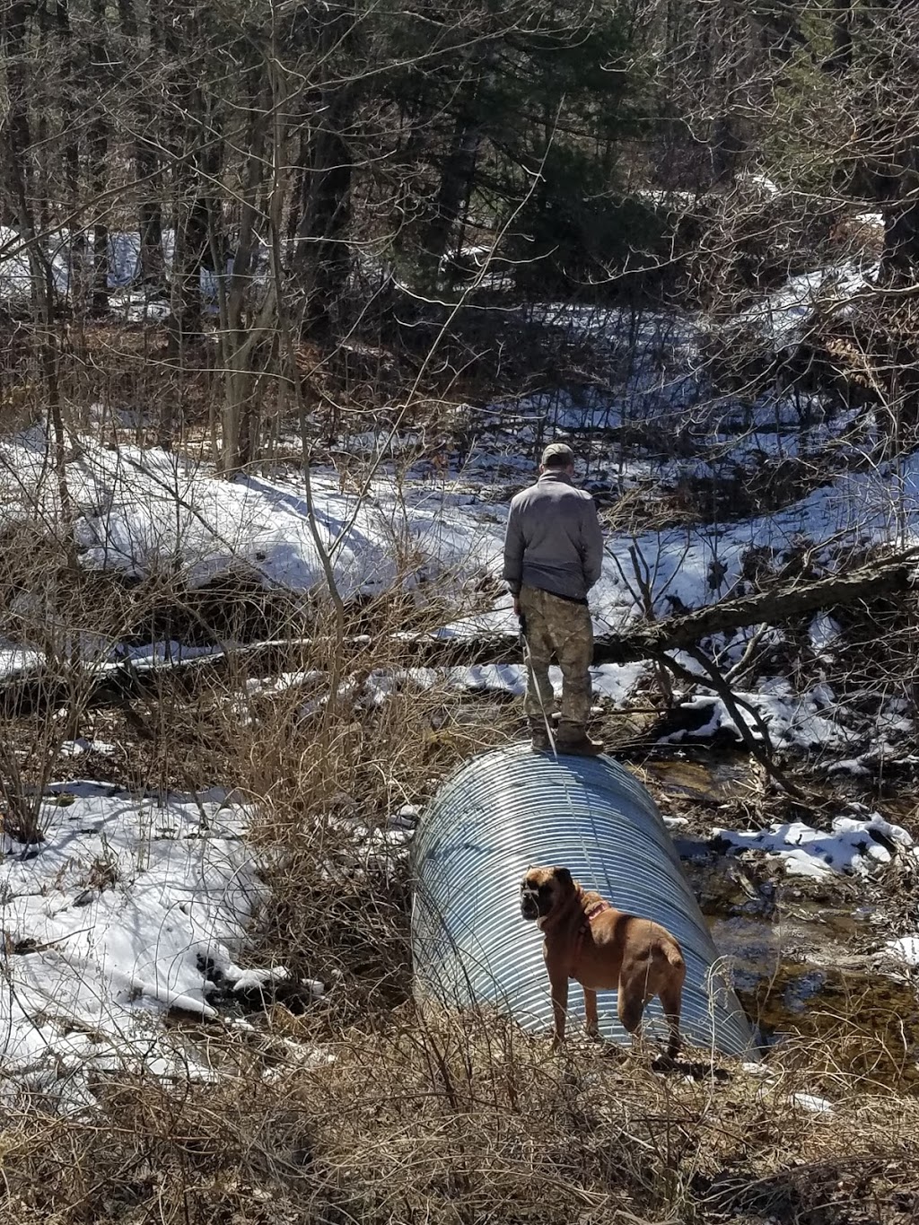 Wadhams Road Animal Care Center | 635 Wadhams Rd, Kimball, MI 48074, USA | Phone: (810) 367-6115